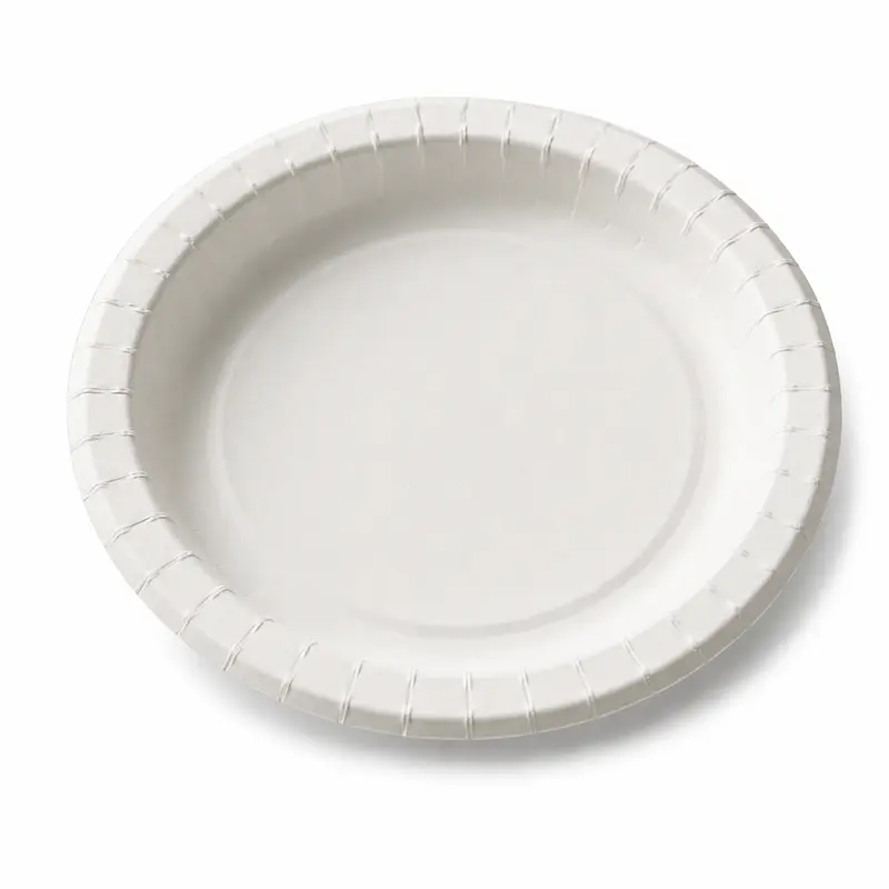 Plato De Carton 26cm 100% Biodegradables Paquete 20 Unidades