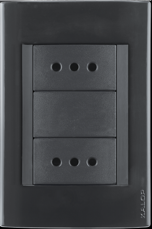 Tomacorriente doble 2P+T 10A 250V negro
