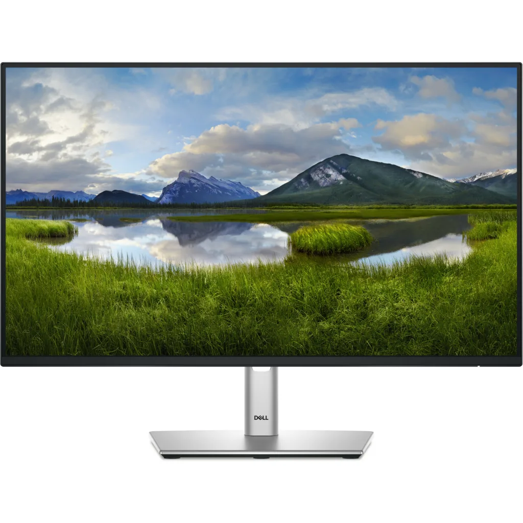 Monitor Dell P2425H 24" FHD IPS DP HDMI VGA USB-C 100Hz